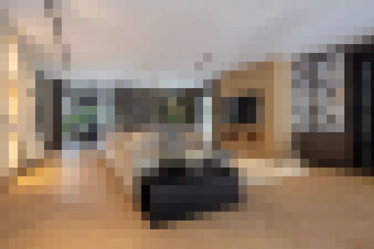 Oudestraat 107 Gemert thumbnail 12