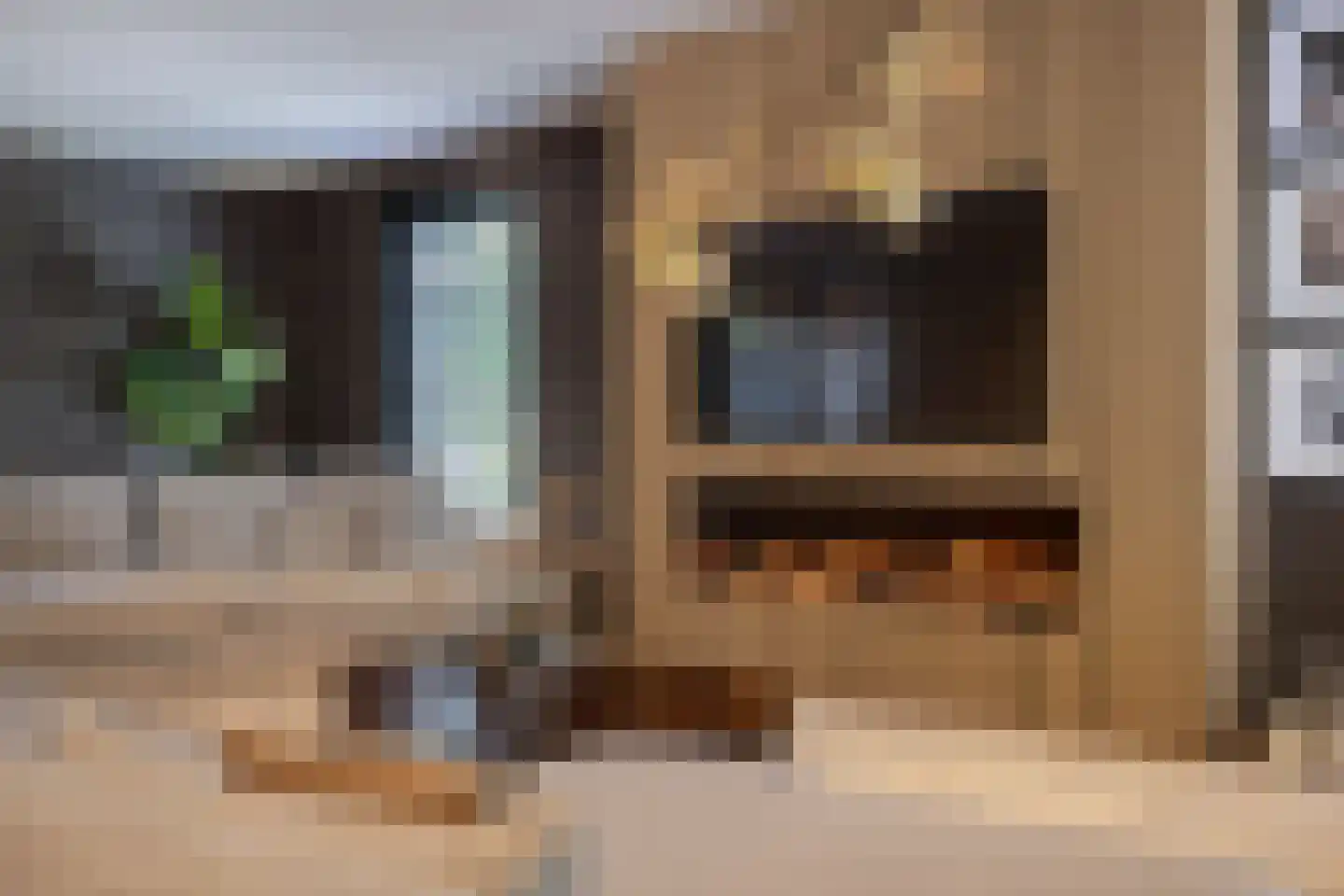 Oudestraat 107 Gemert thumbnail 13