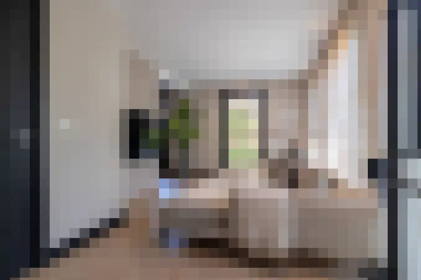 Oudestraat 107 Gemert thumbnail 19
