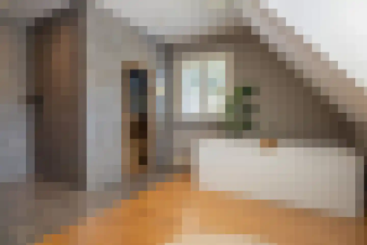 Oudestraat 107 Gemert thumbnail 24