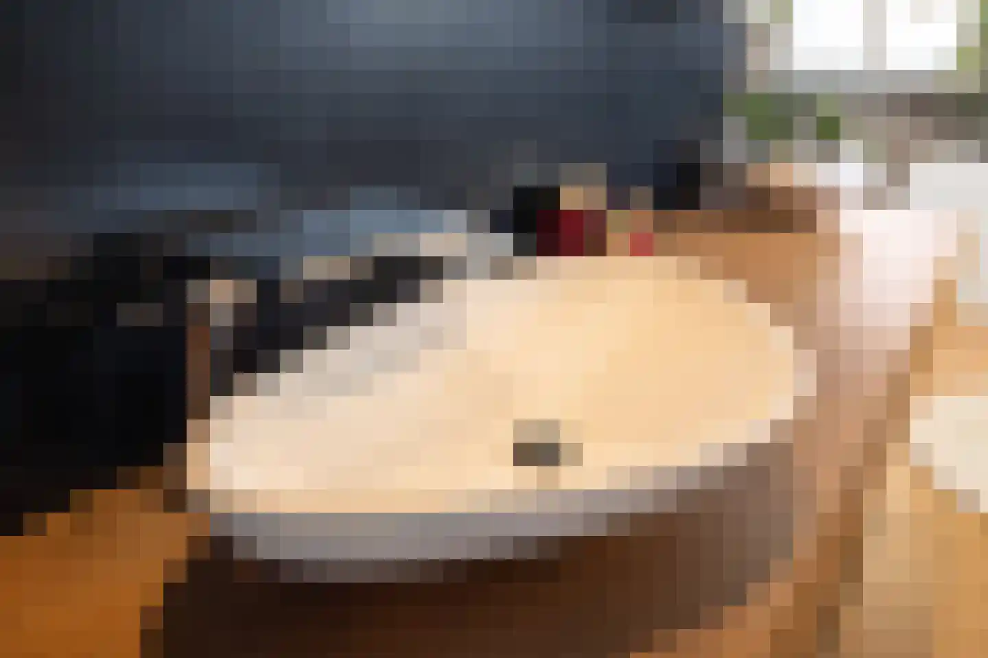 Oudestraat 107 Gemert thumbnail 25