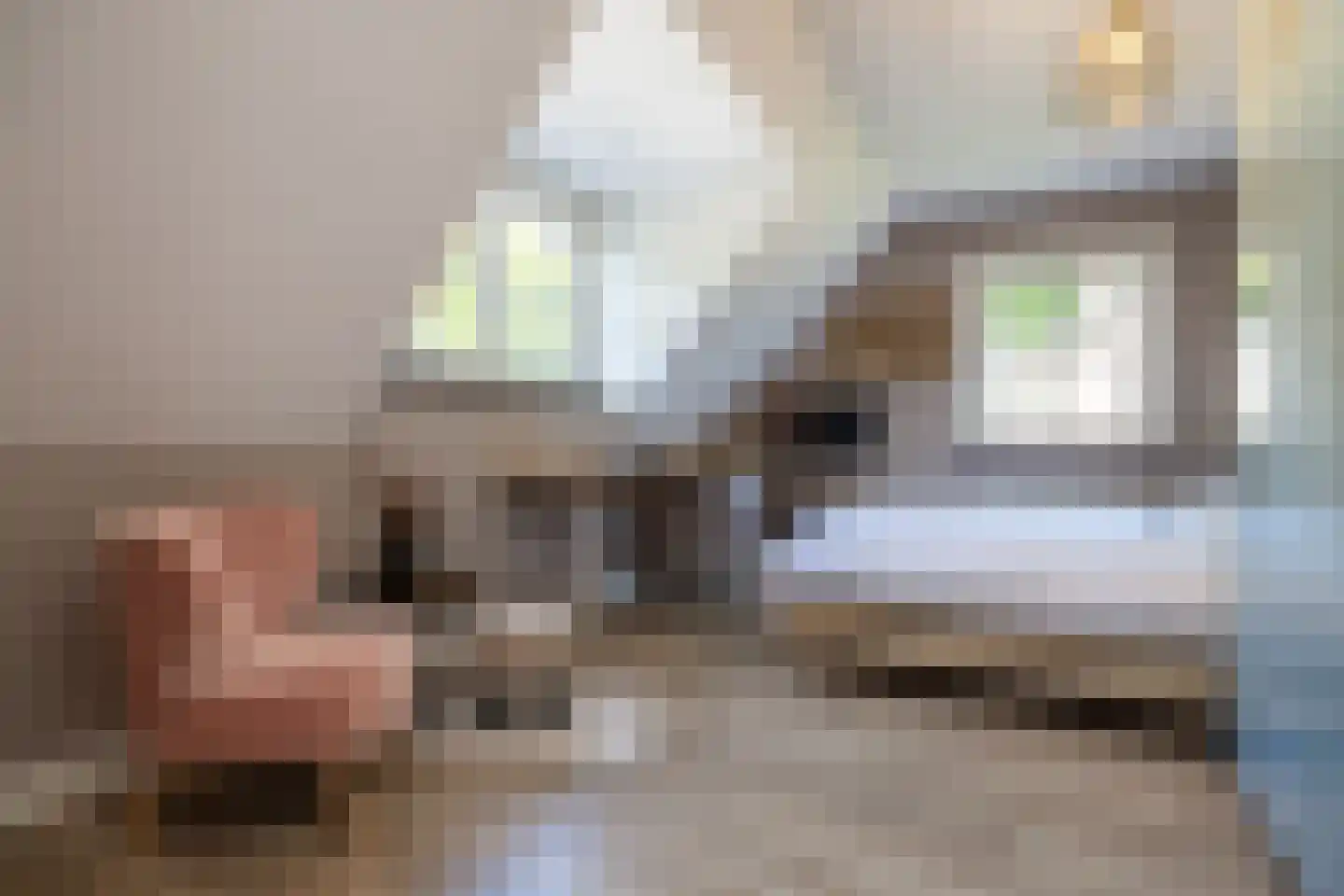 Oudestraat 107 Gemert thumbnail 27