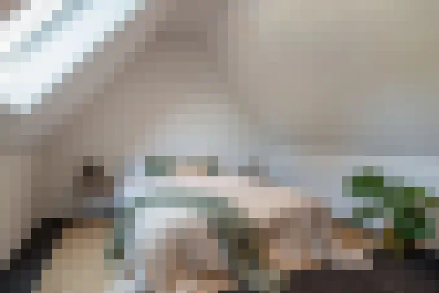Oudestraat 107 Gemert thumbnail 31