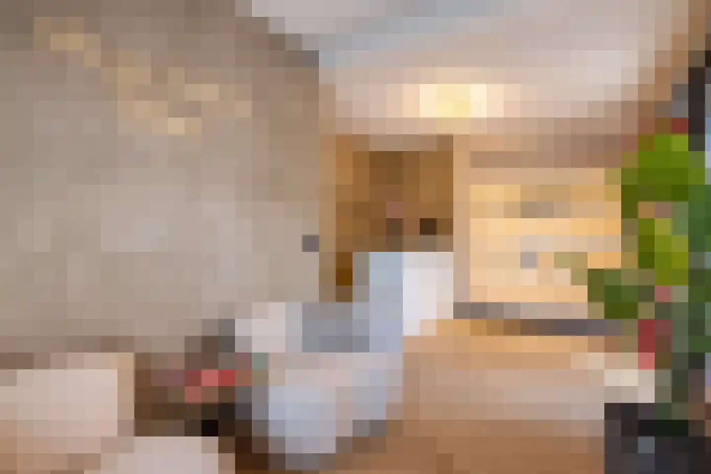 Oudestraat 107 Gemert thumbnail 35