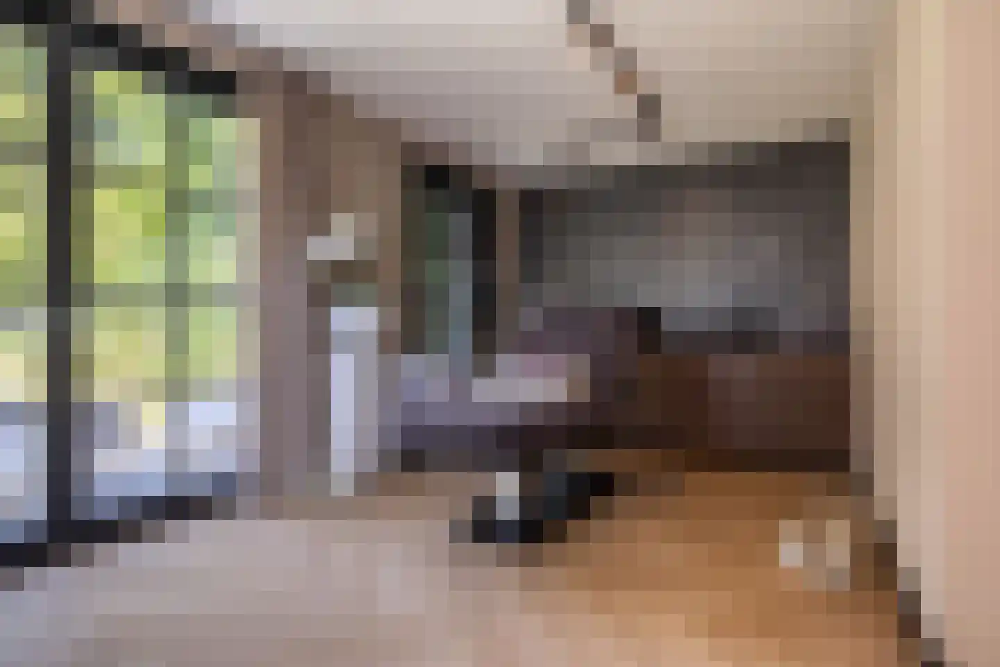 Oudestraat 107 Gemert thumbnail 36