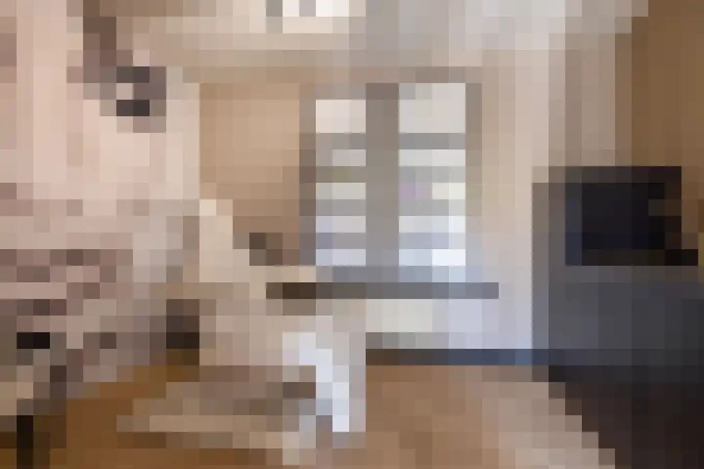 Oudestraat 107 Gemert thumbnail 37