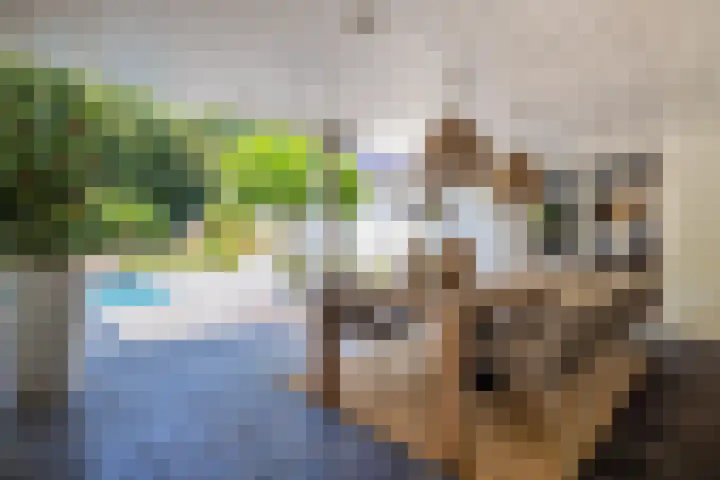 Oudestraat 107 Gemert thumbnail 47