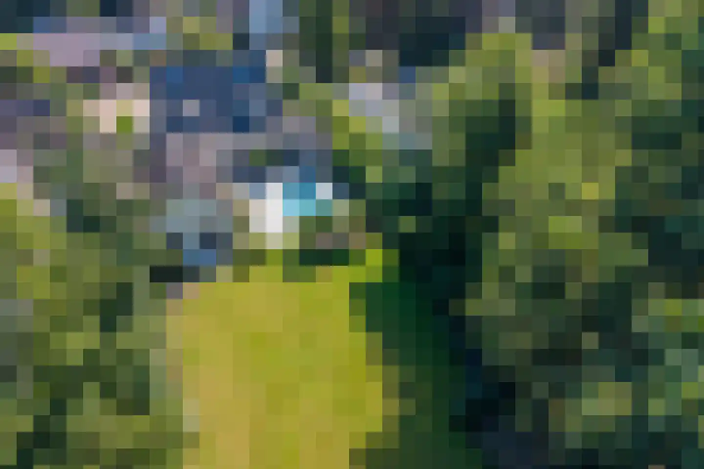 Oudestraat 107 Gemert thumbnail 53