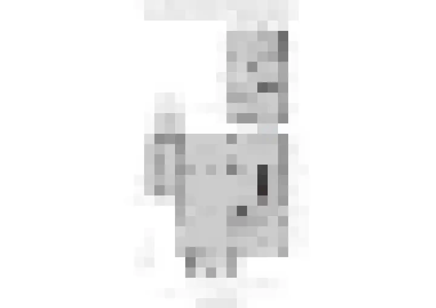 Oudestraat 107 Gemert thumbnail 56