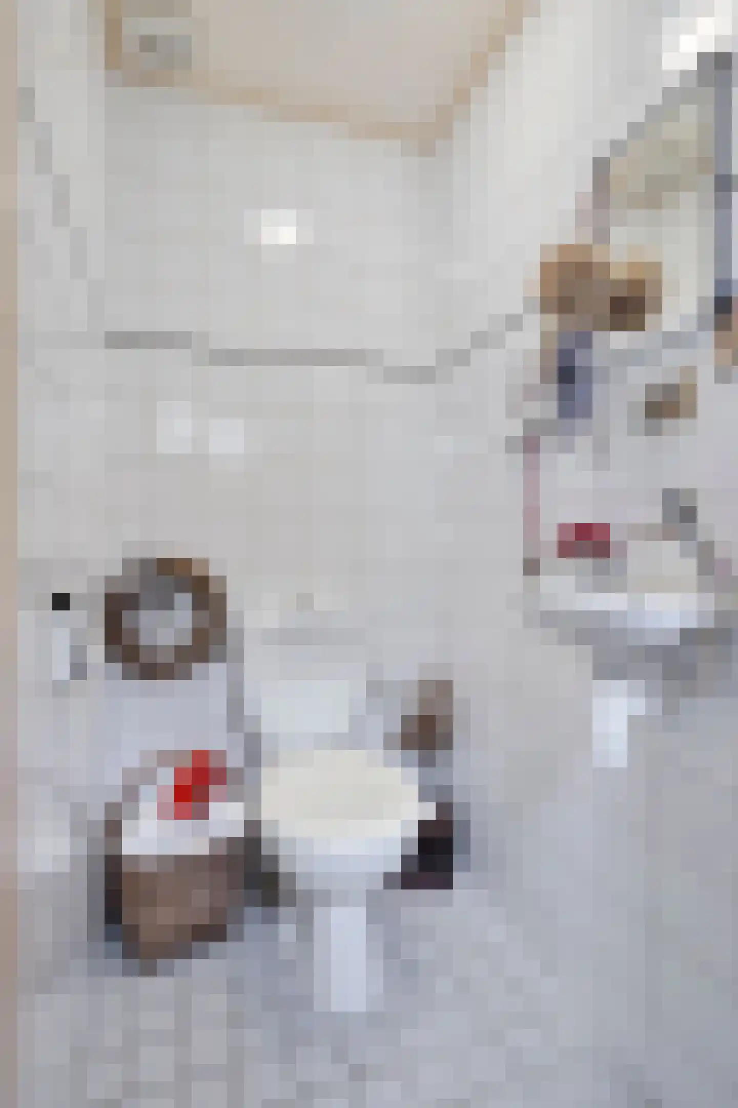 Oudestraat 17 Veere thumbnail 20
