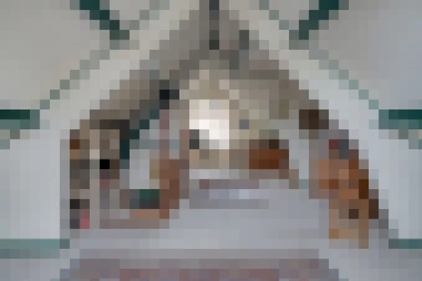 Oudestraat 17 Veere thumbnail 25