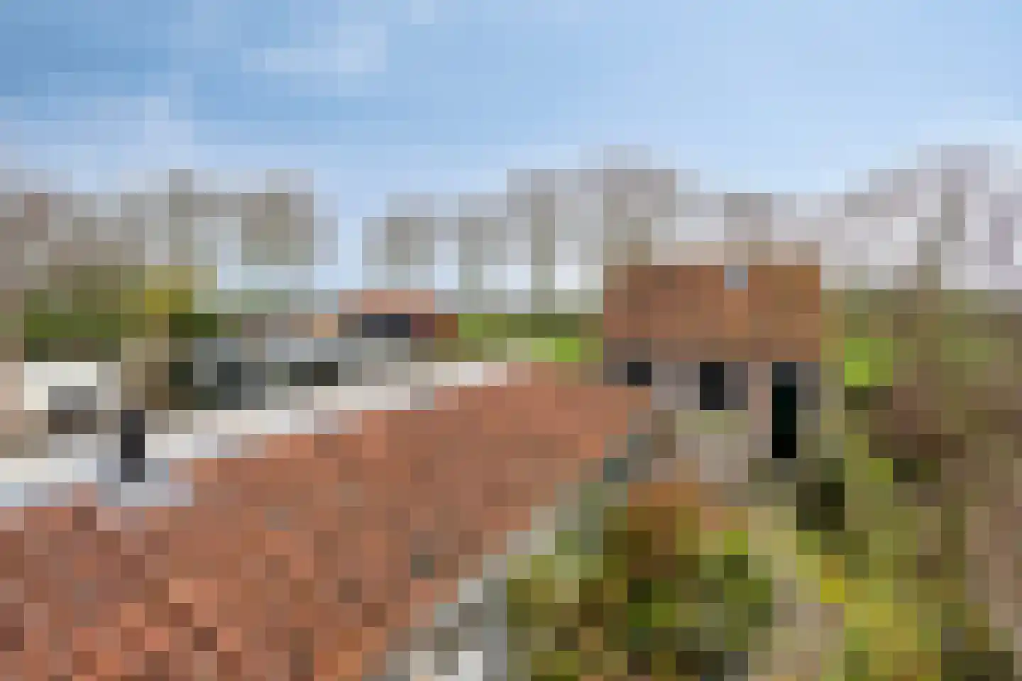 Oudestraat 17 Veere thumbnail 29