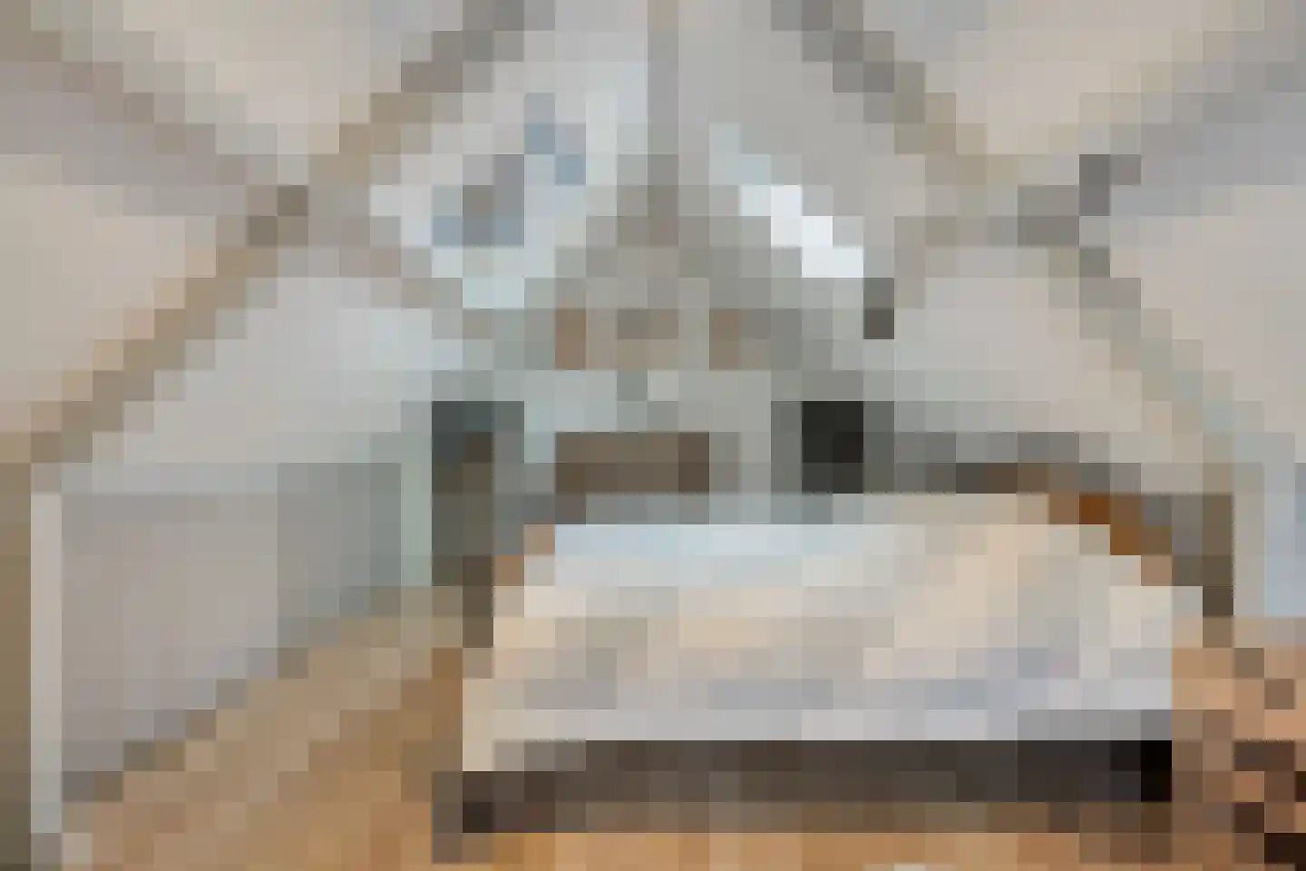 Oudestraat 17 Veere thumbnail 43