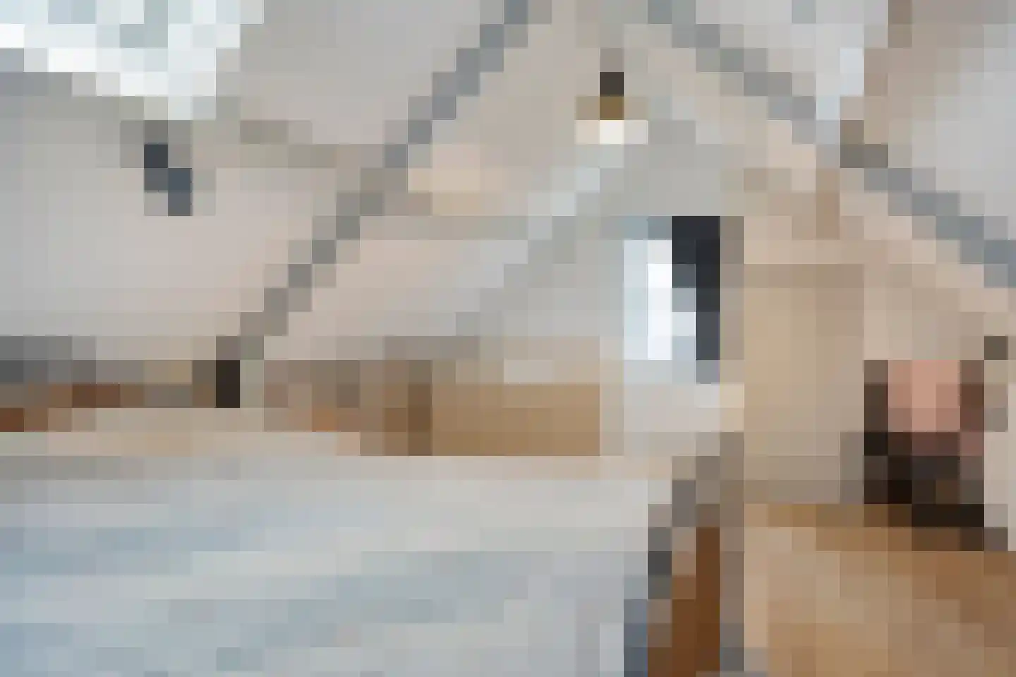 Oudestraat 17 Veere thumbnail 44
