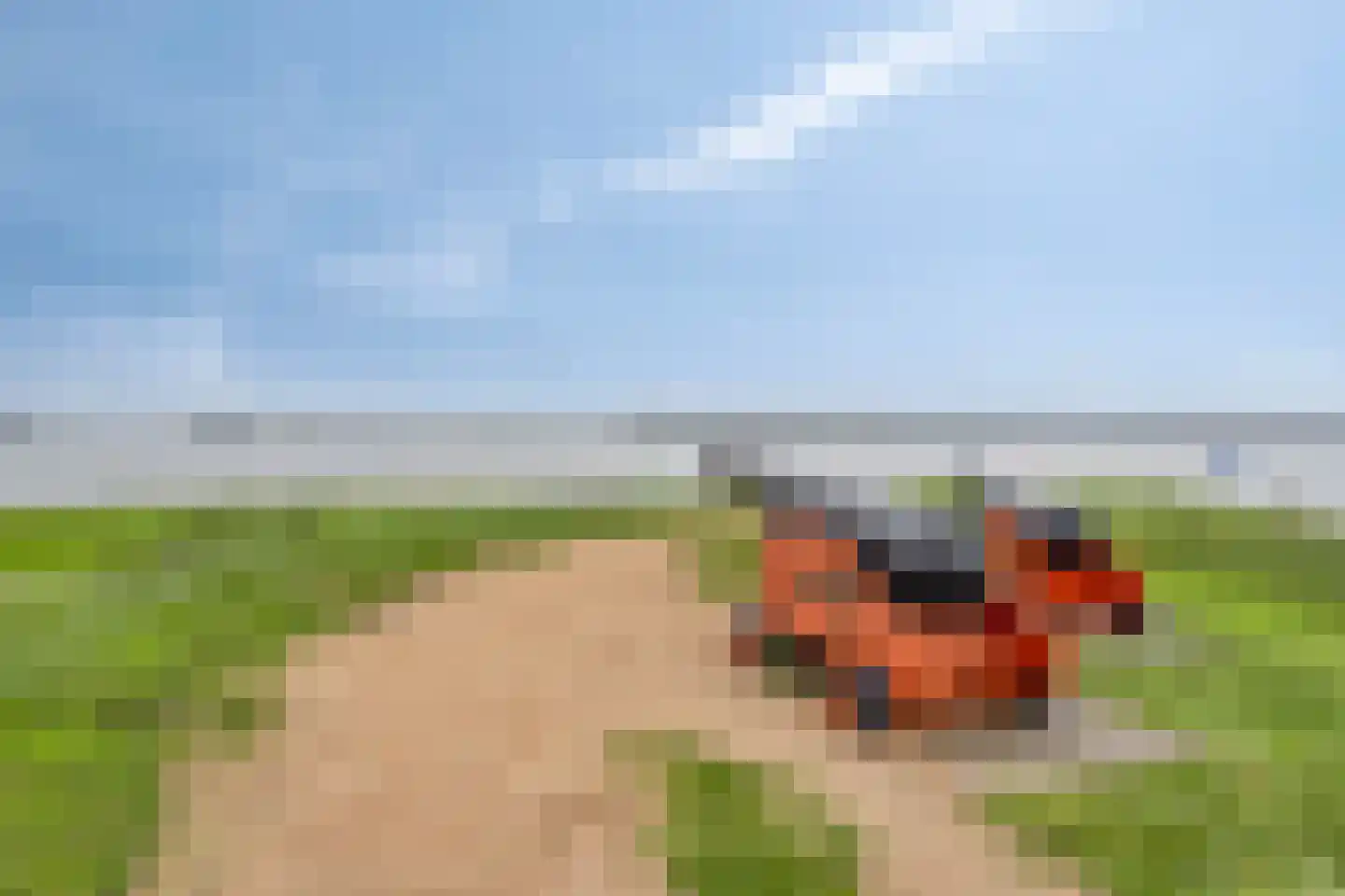 Oudestraat 17 Veere thumbnail 48