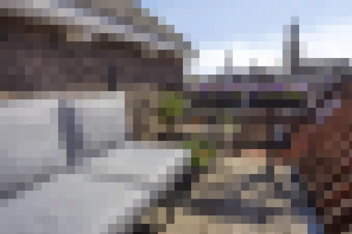 Oudestraat 177 Kampen thumbnail 31