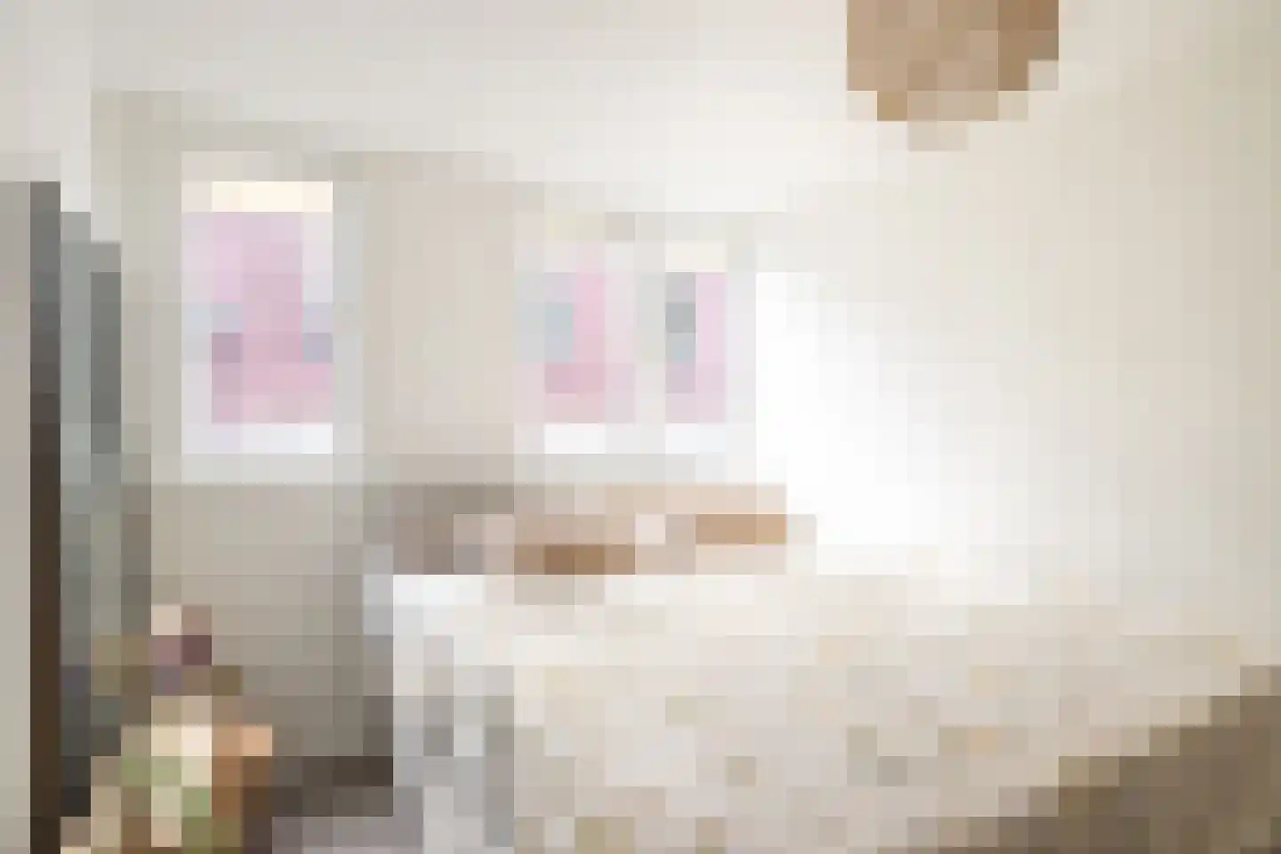 Oudestraat 187 Kampen thumbnail 17