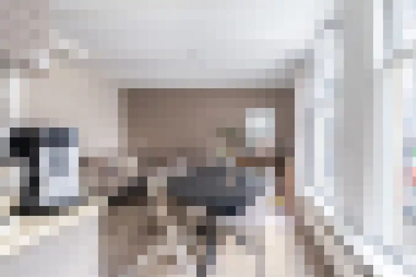 Oudestraat 187 Kampen thumbnail 7