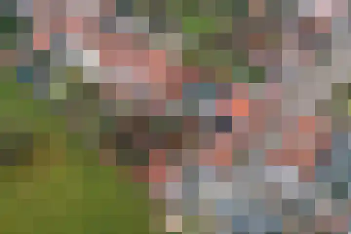 Oudestraat 19 Veere thumbnail 5