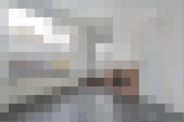 Oudestraat 2 Gramsbergen thumbnail 11