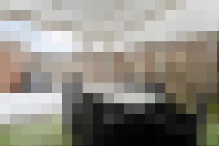 Oudestraat 2 Gramsbergen thumbnail 36