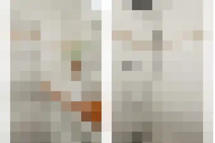 Oudestraat 2 Sprang-Capelle thumbnail 12