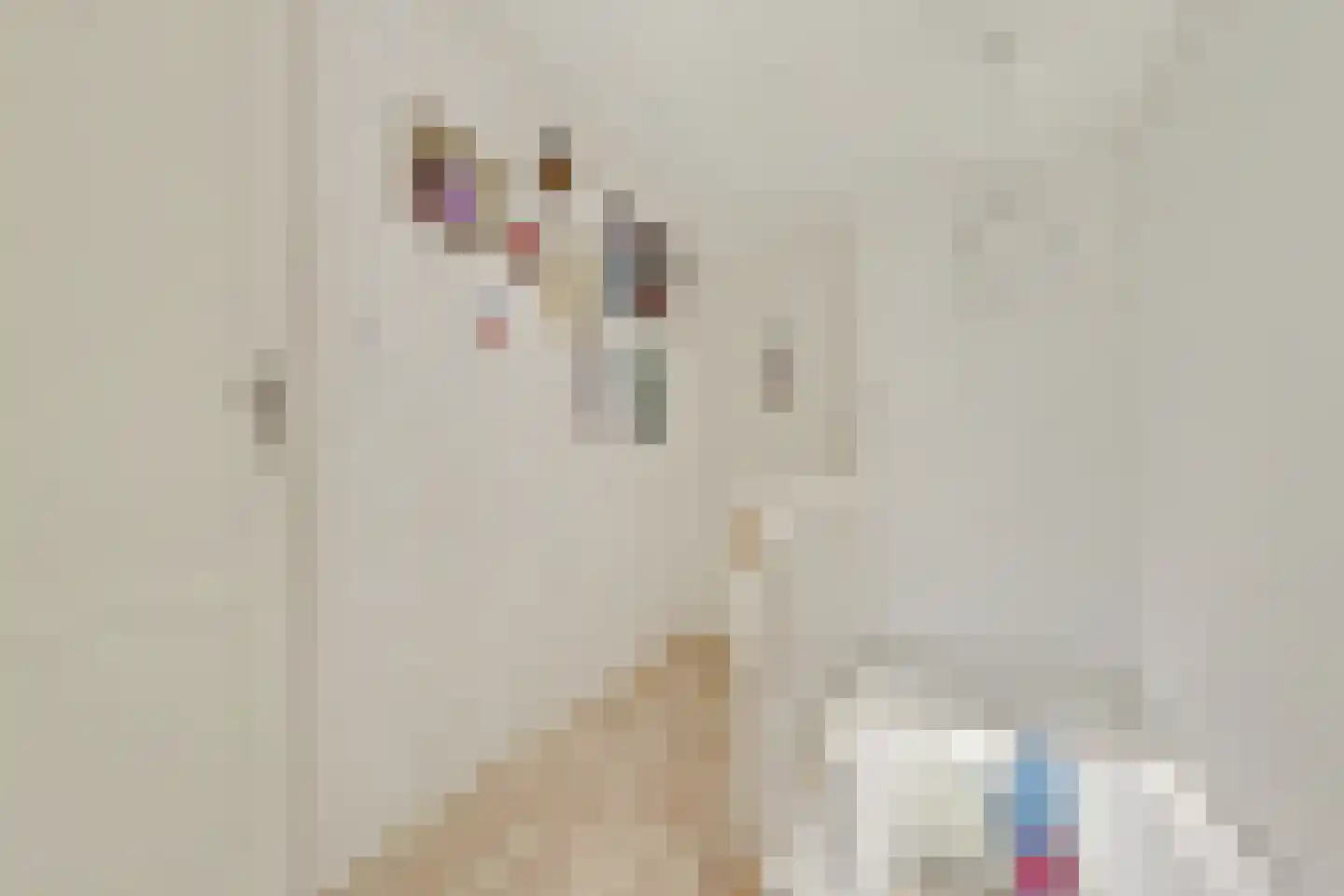 Oudestraat 2 Sprang-Capelle thumbnail 14