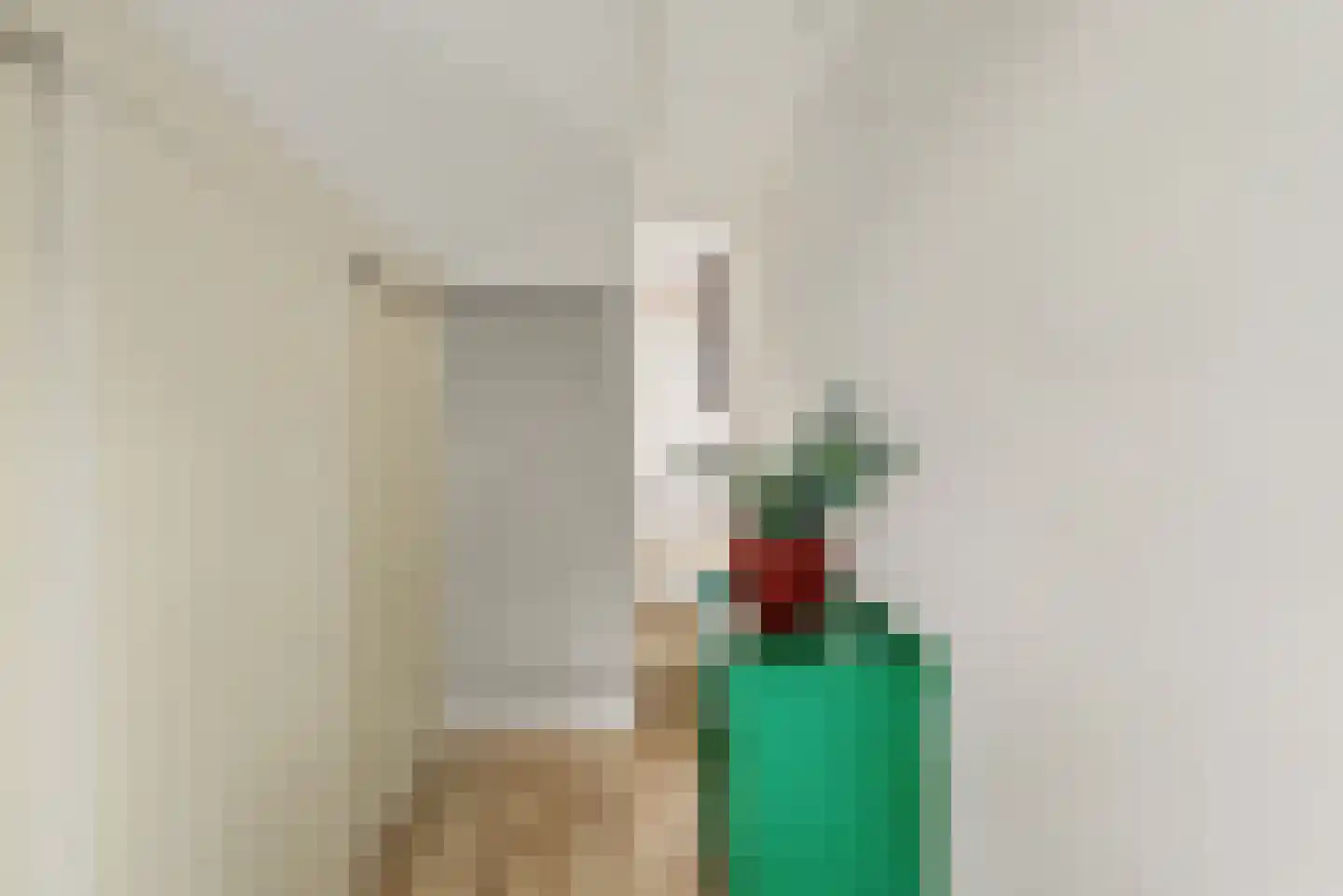 Oudestraat 2 Sprang-Capelle thumbnail 19