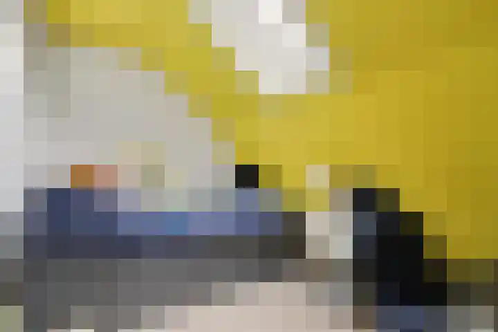Oudestraat 2 Sprang-Capelle thumbnail 20