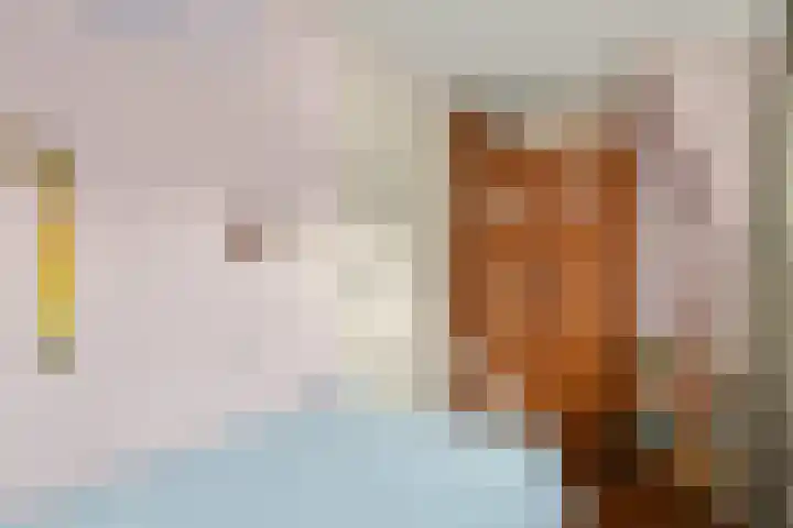 Oudestraat 2 Sprang-Capelle thumbnail 22