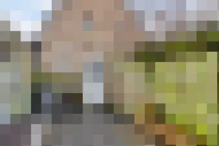 Oudestraat 2 Sprang-Capelle thumbnail 25