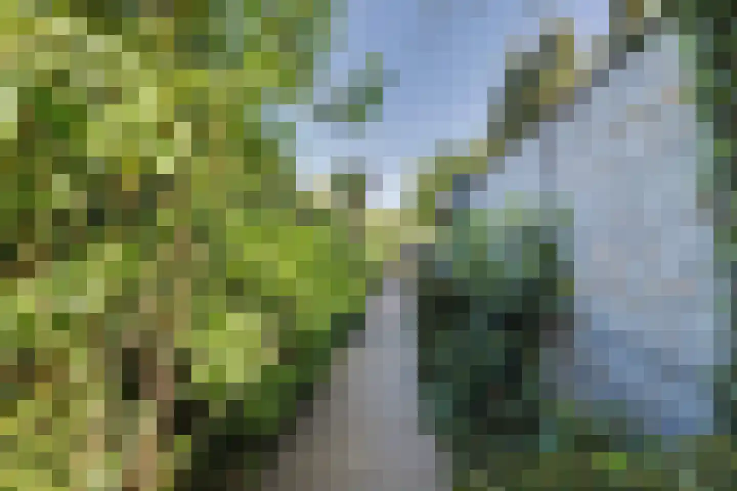 Oudestraat 2 Sprang-Capelle thumbnail 26