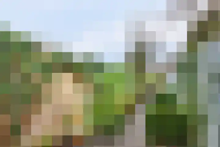 Oudestraat 2 Sprang-Capelle thumbnail 26