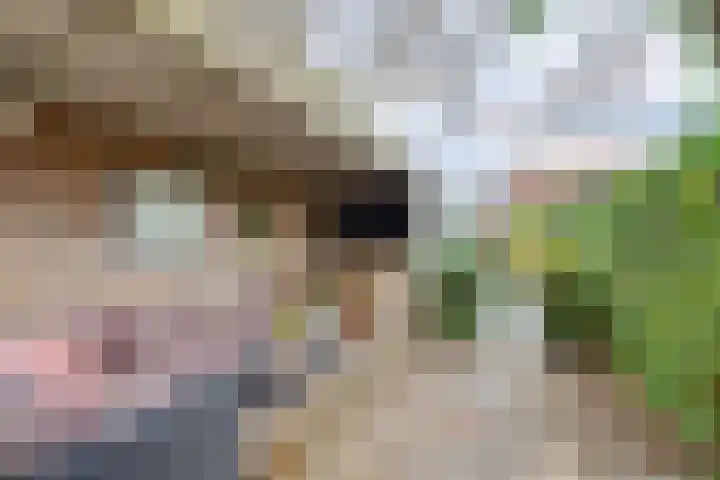 Oudestraat 2 Sprang-Capelle thumbnail 27