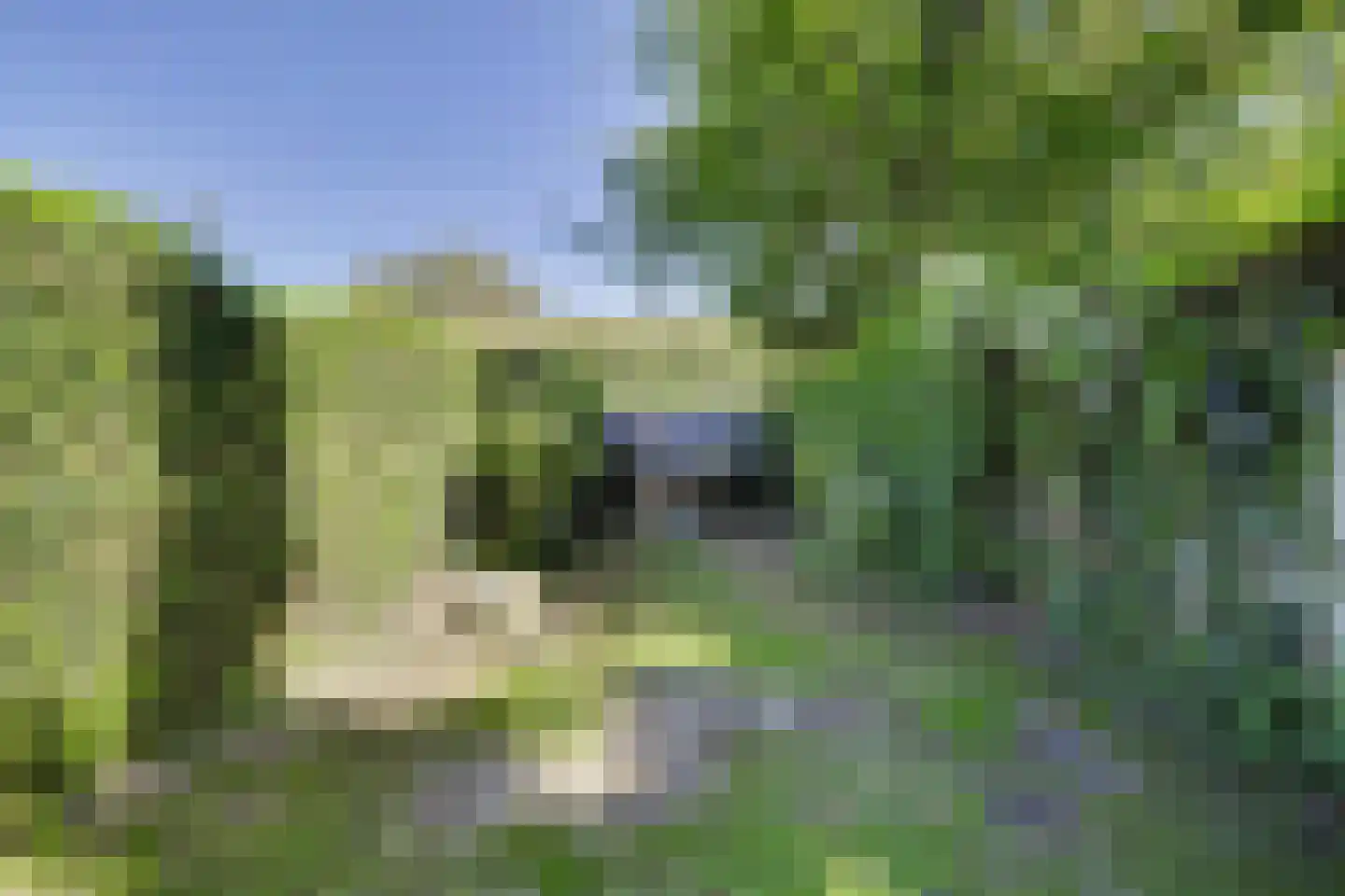 Oudestraat 2 Sprang-Capelle thumbnail 28