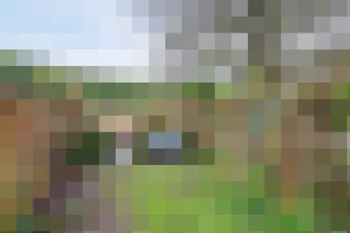 Oudestraat 2 Sprang-Capelle thumbnail 29