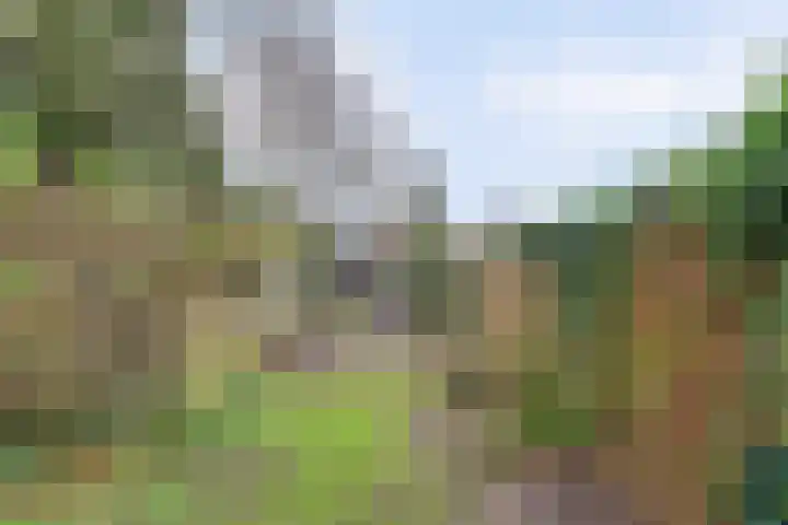 Oudestraat 2 Sprang-Capelle thumbnail 30