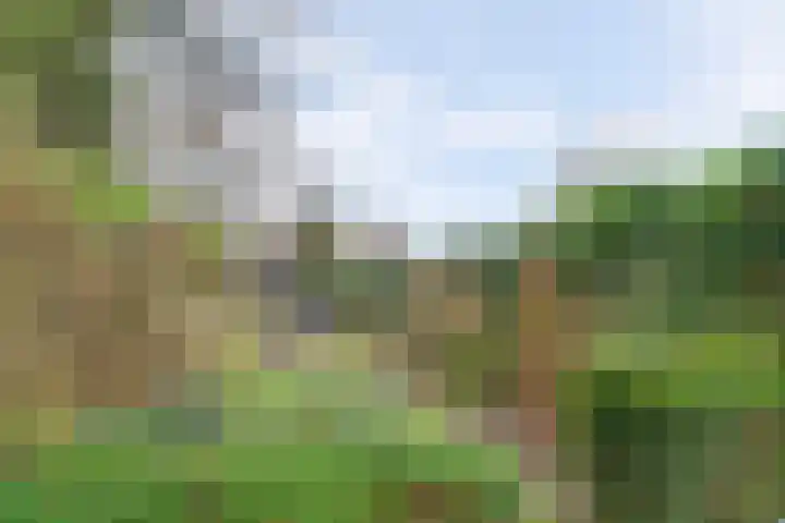 Oudestraat 2 Sprang-Capelle thumbnail 31