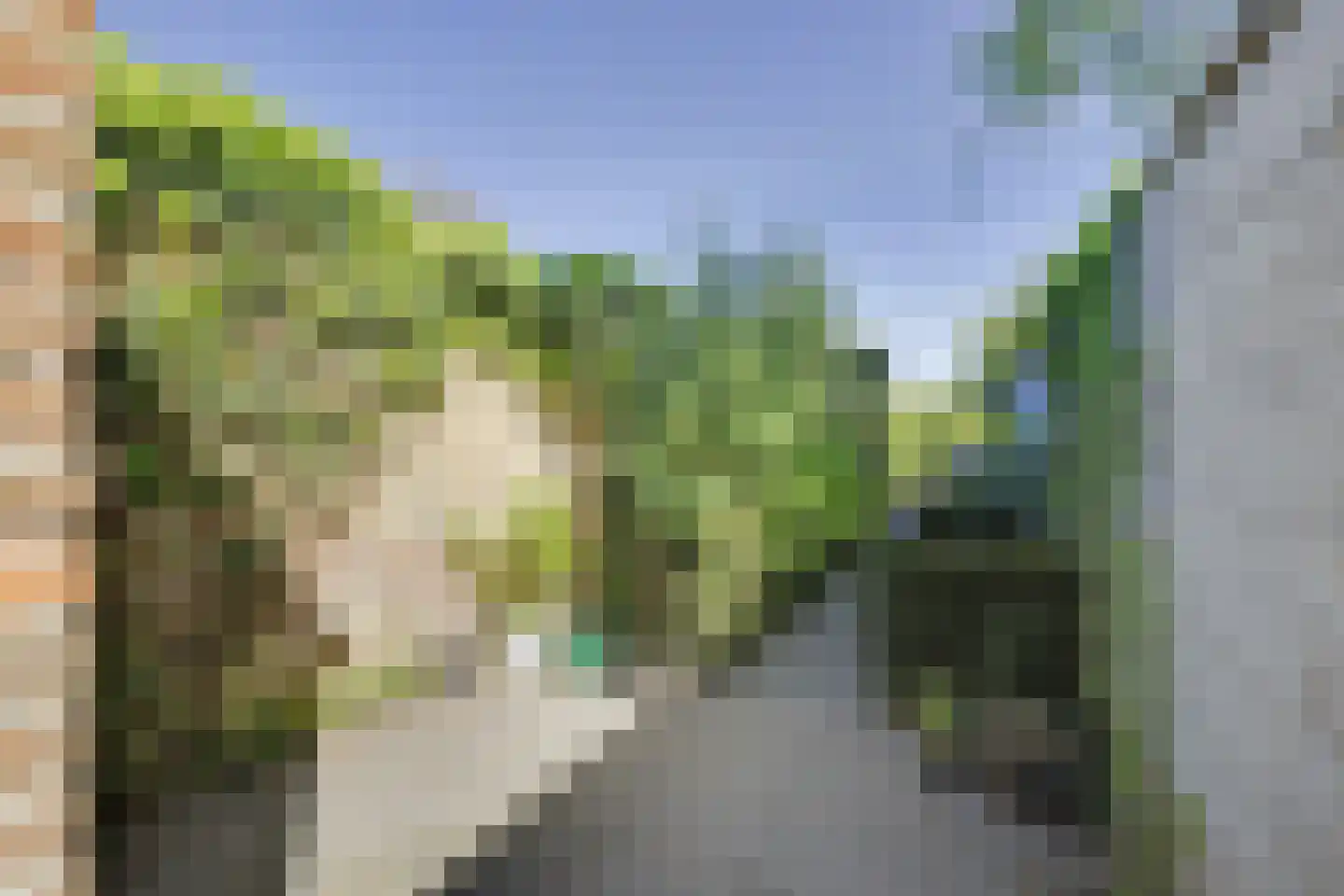 Oudestraat 2 Sprang-Capelle thumbnail 33