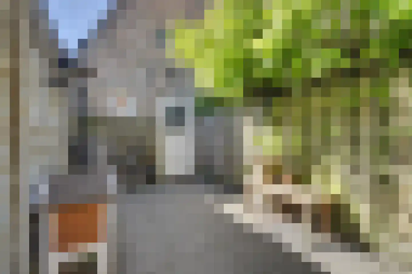 Oudestraat 2 Sprang-Capelle thumbnail 34