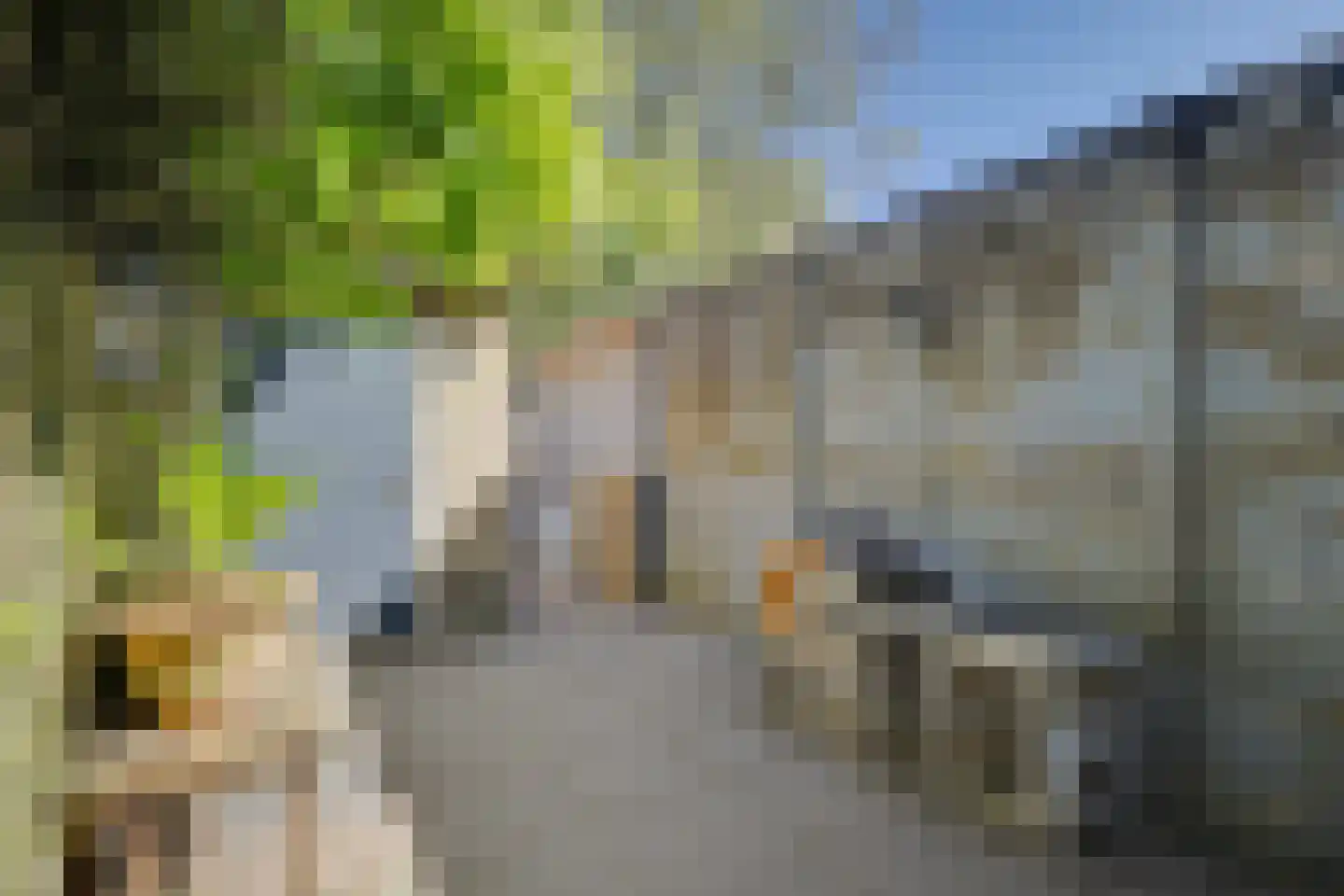 Oudestraat 2 Sprang-Capelle thumbnail 35