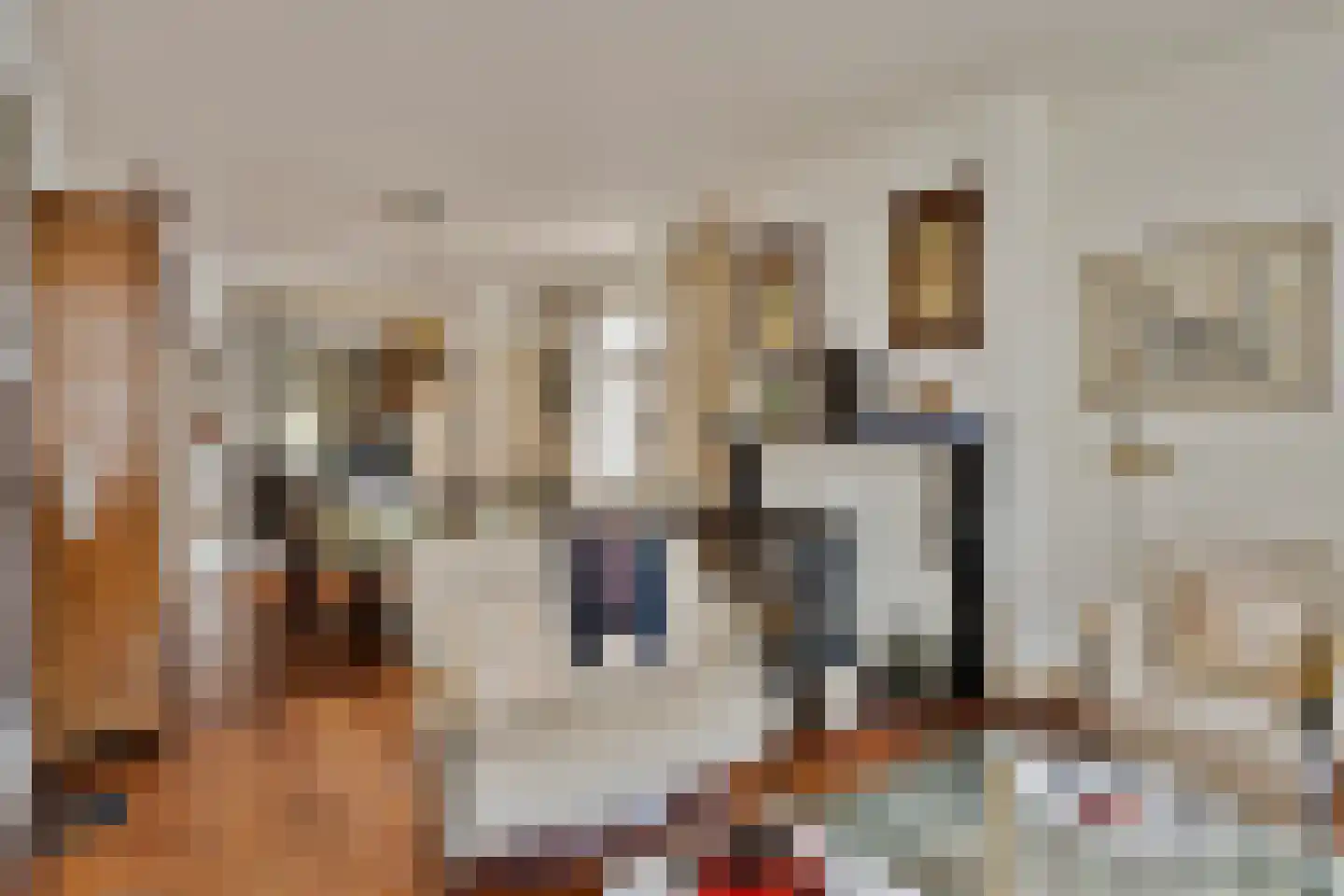 Oudestraat 20 Gemert thumbnail 11