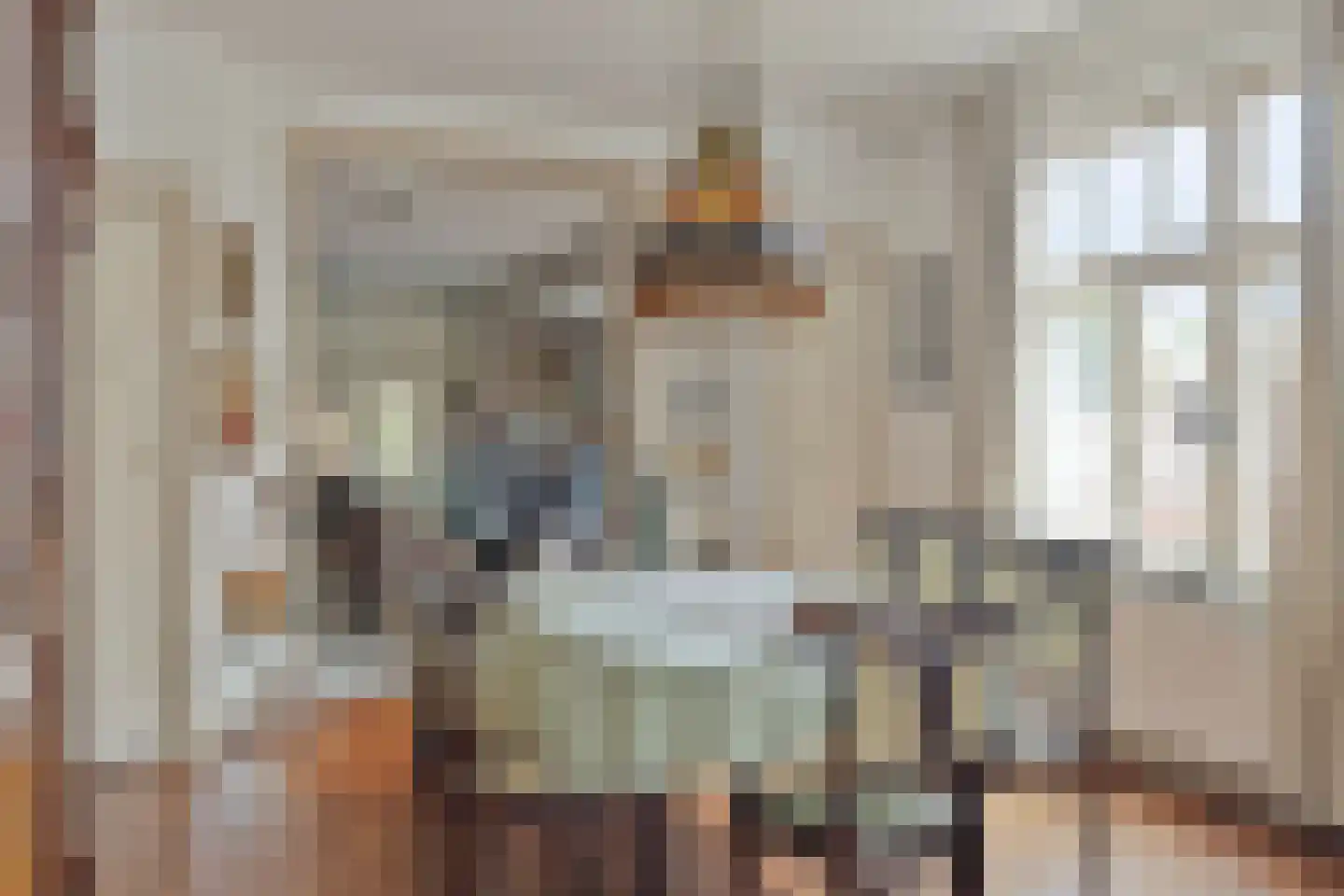 Oudestraat 20 Gemert thumbnail 13