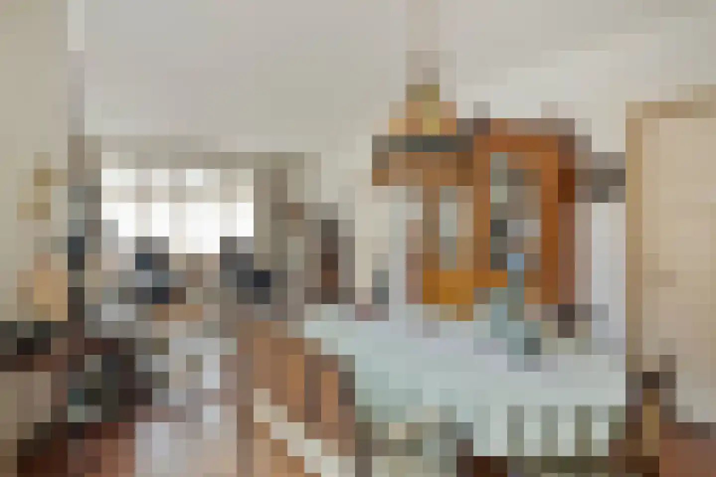 Oudestraat 20 Gemert thumbnail 15