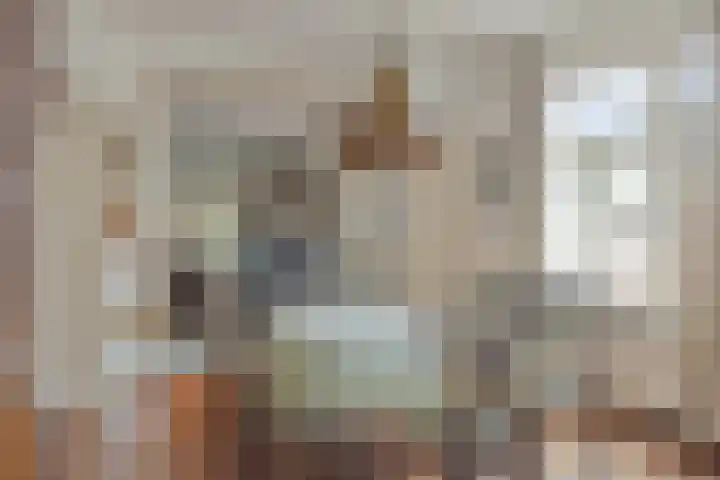 Oudestraat 20 Gemert thumbnail 15