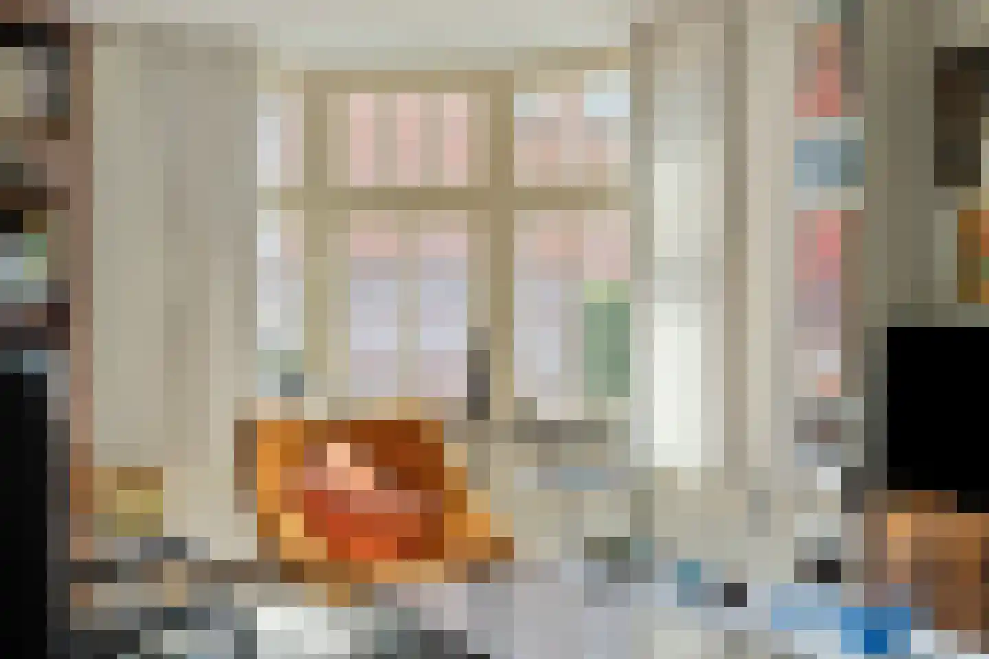 Oudestraat 20 Gemert thumbnail 17