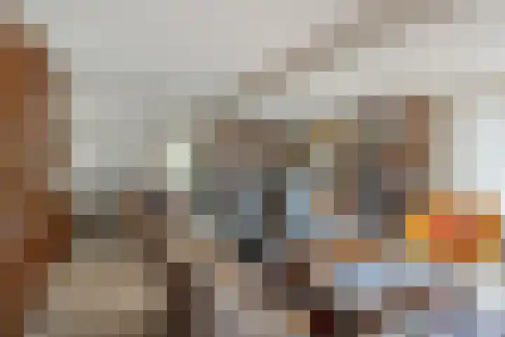 Oudestraat 20 Gemert thumbnail 18