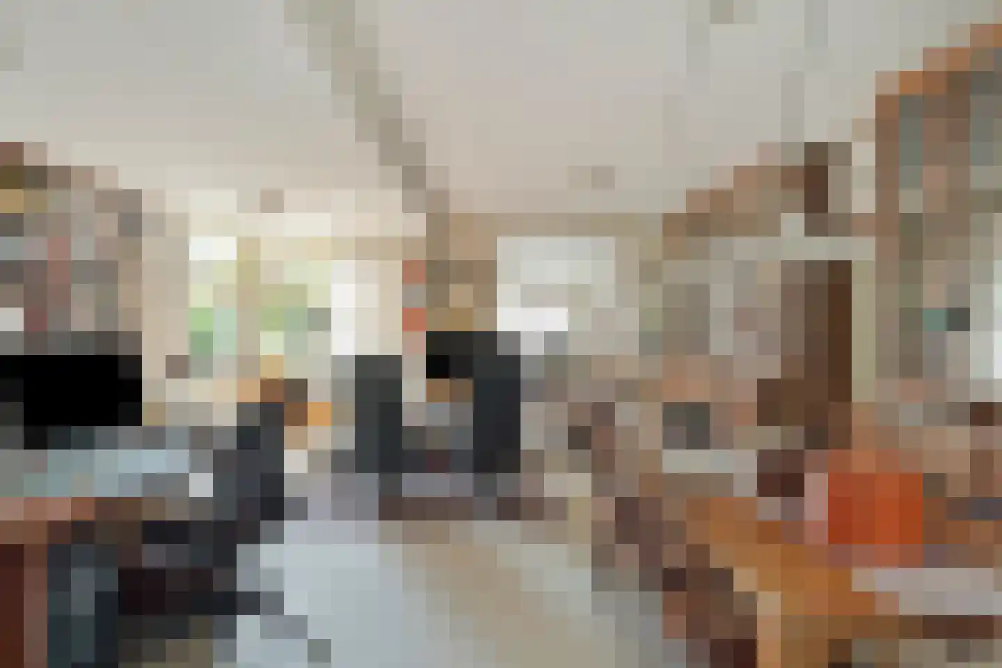 Oudestraat 20 Gemert thumbnail 18