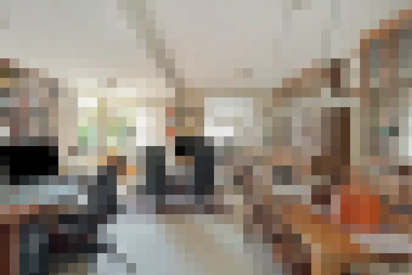 Oudestraat 20 Gemert thumbnail 19