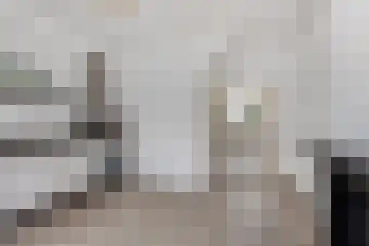 Oudestraat 20 Gemert thumbnail 19